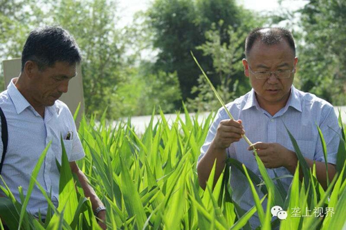 敦煌種業(yè)種子營(yíng)銷分公司—通過(guò)組織黑龍江農(nóng)戶開(kāi)展體驗(yàn)之旅活動(dòng)進(jìn)一步提升公司的社會(huì)形象